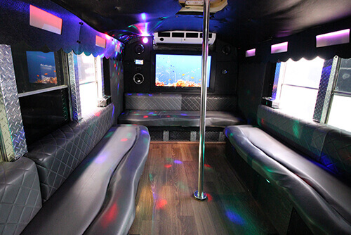limo ST Pete